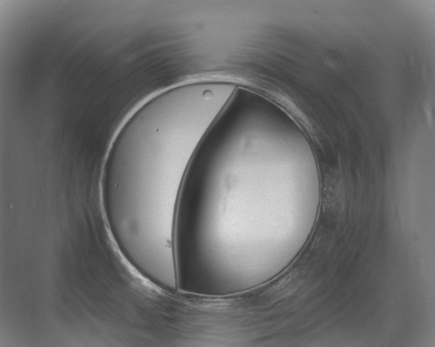 X0000075361484200609080825