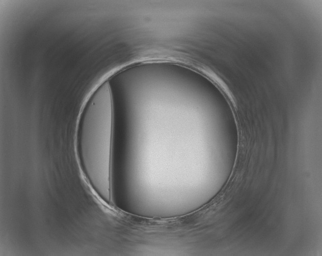 X0000075361485200609080825