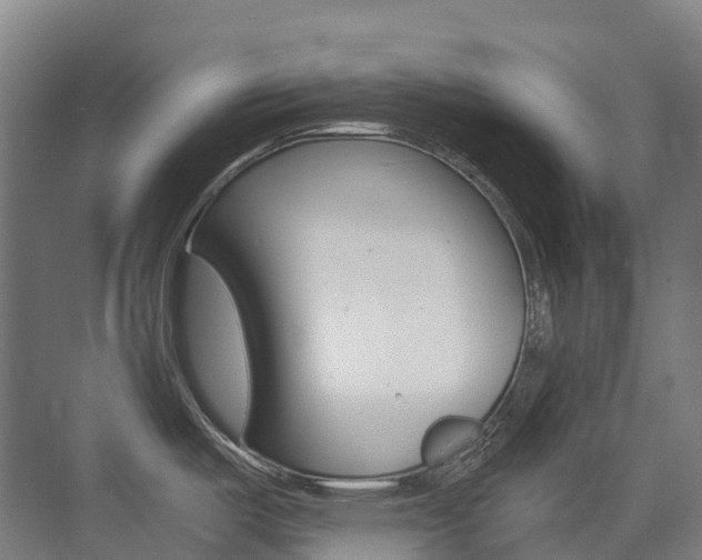 X0000075361487200609080825
