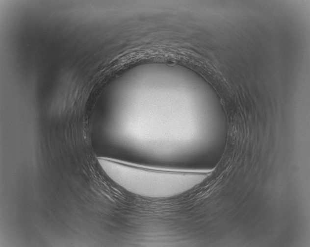 X0000075361490200609080825