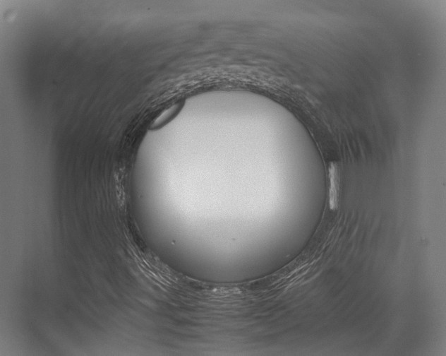 X0000075361491200609080825