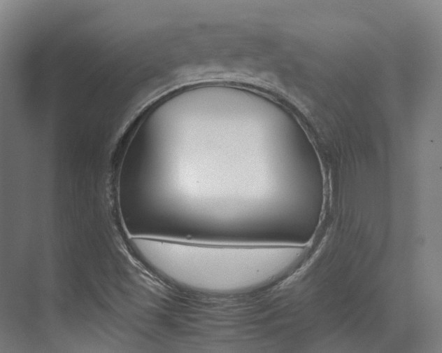X0000075361501200609080825