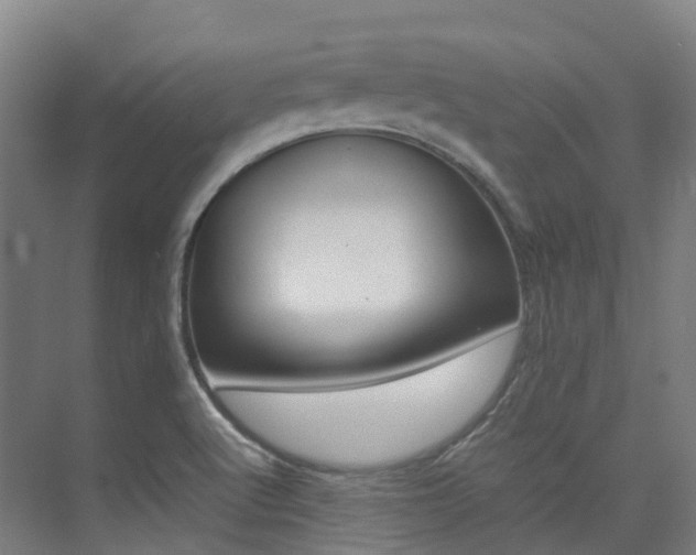 X0000075361512200609080825