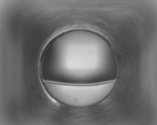 X0000075361519200609080825