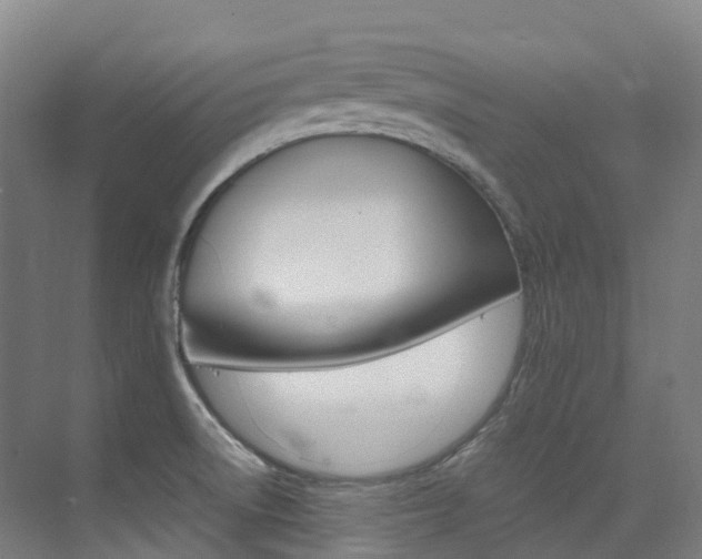 X0000075361522200609080825