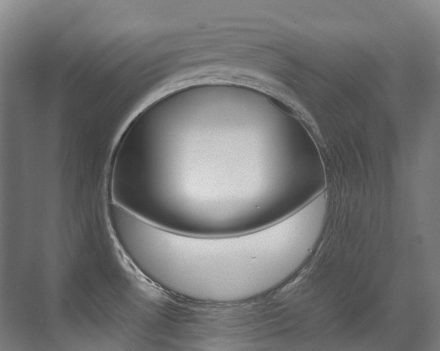 X0000075361530200609080825