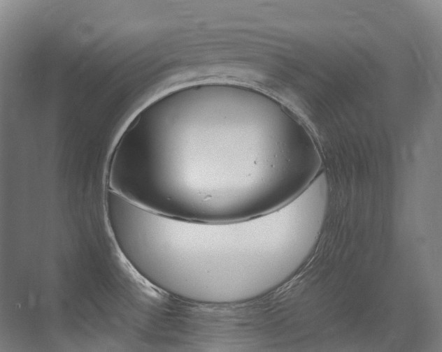 X0000075361532200609080825
