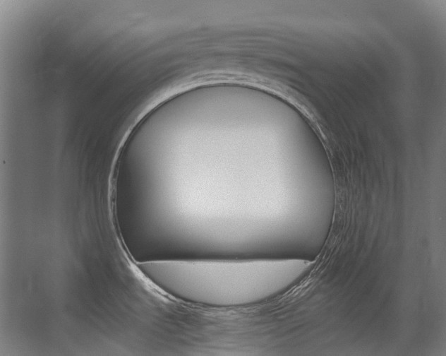 X0000075361535200609080825