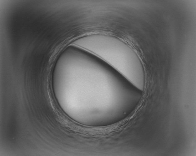 X0000075360001200609081227