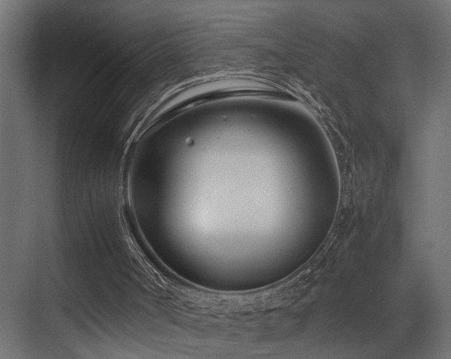 X0000075360002200609081227