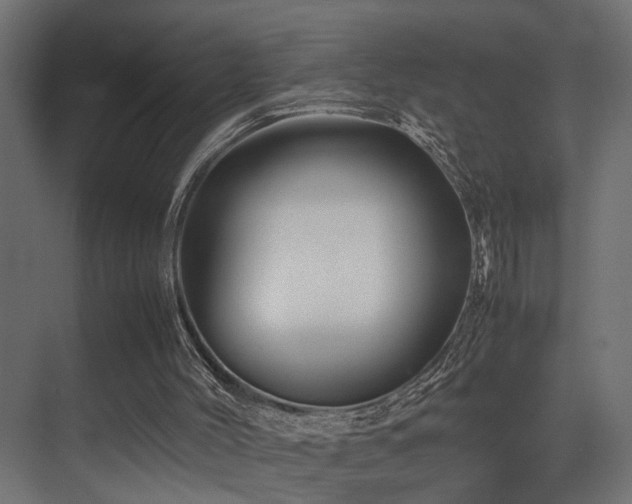 X0000075360004200609081227