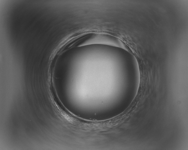 X0000075360005200609081227