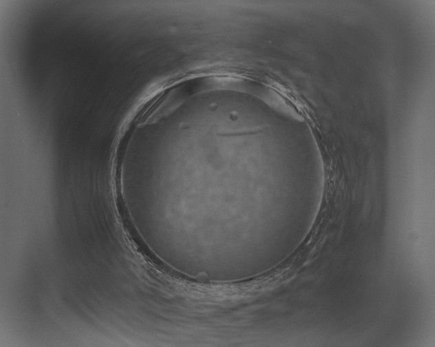 X0000075360006200609081227