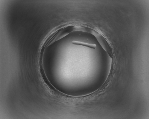 X0000075360007200609081227