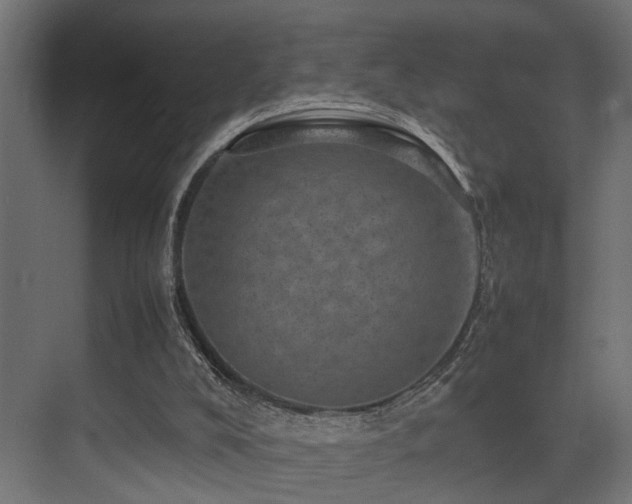 X0000075360008200609081227