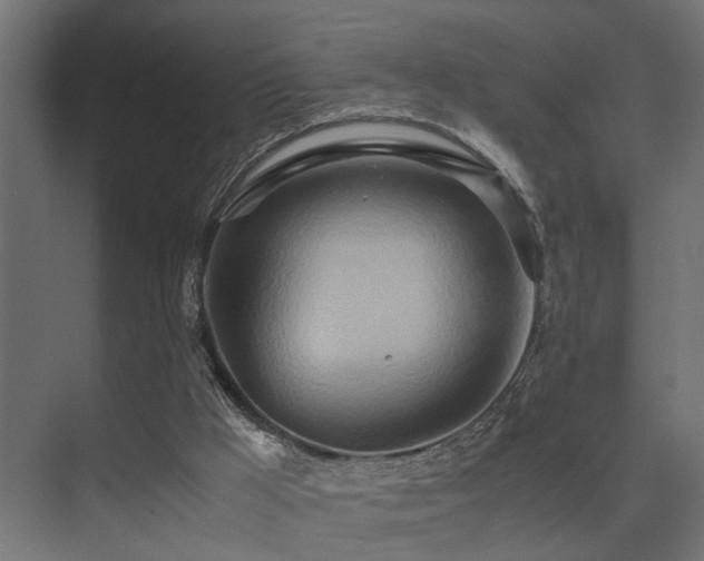 X0000075360009200609081227