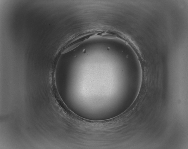 X0000075360010200609081227