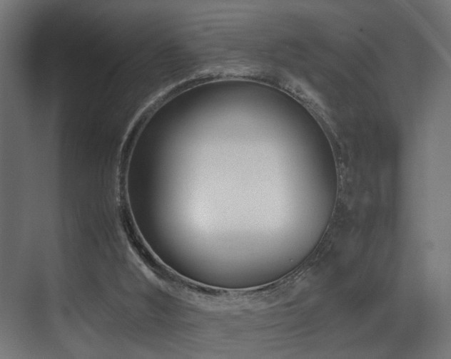 X0000075360012200609081227