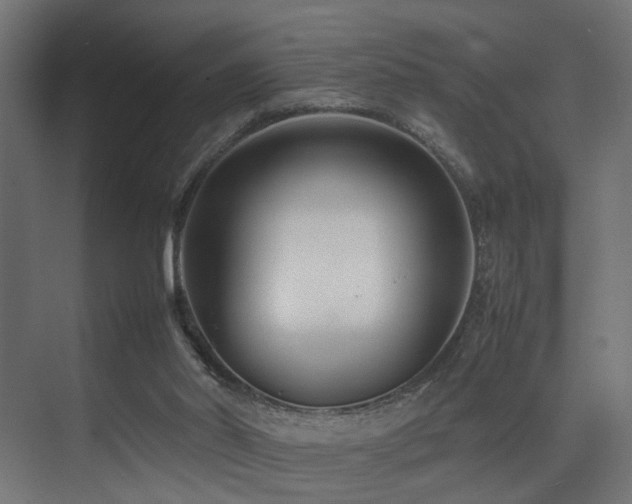 X0000075360014200609081227