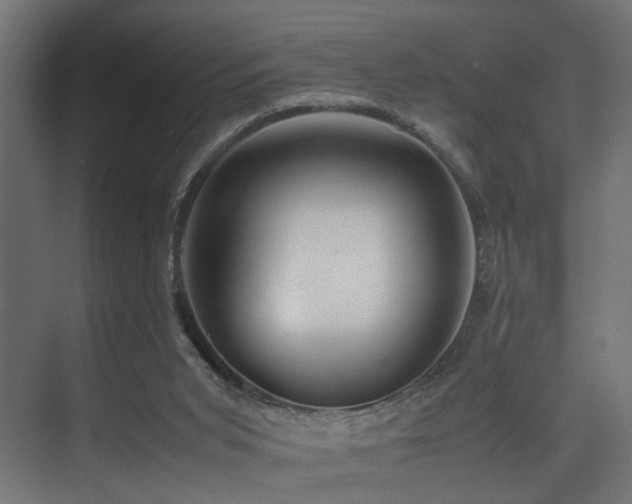 X0000075360015200609081227