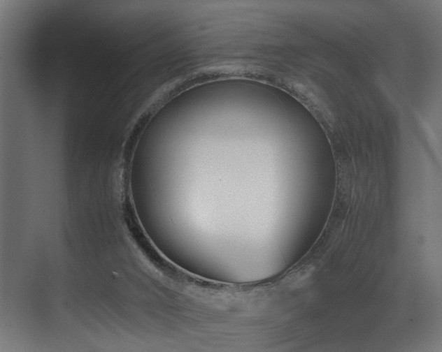 X0000075360016200609081227