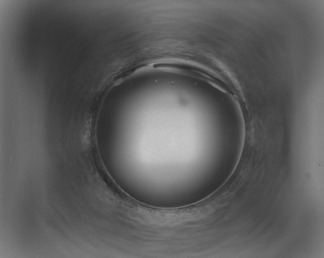 X0000075360018200609081227