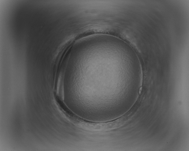 X0000075360019200609081227