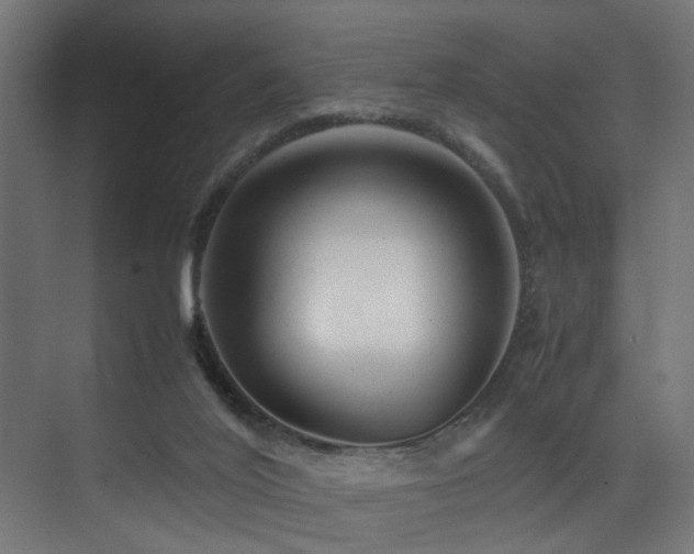 X0000075360020200609081227