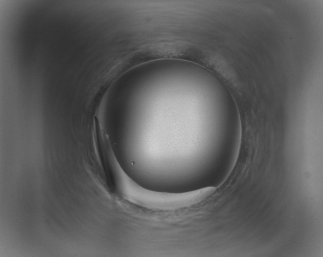 X0000075360021200609081227