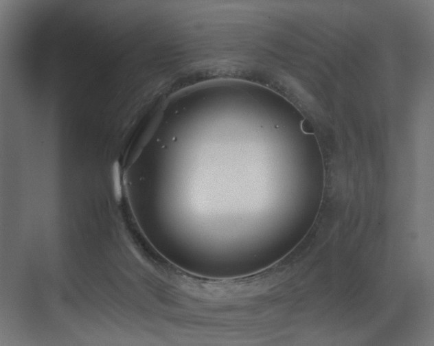 X0000075360022200609081227