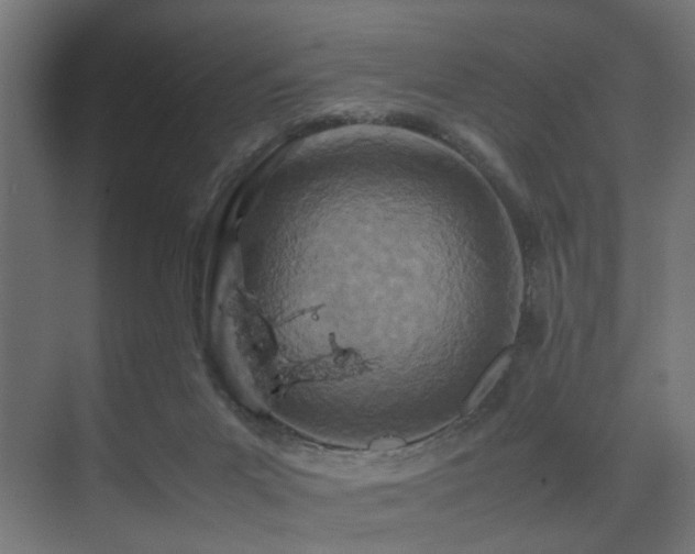 X0000075360023200609081227