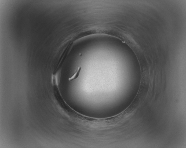 X0000075360024200609081227