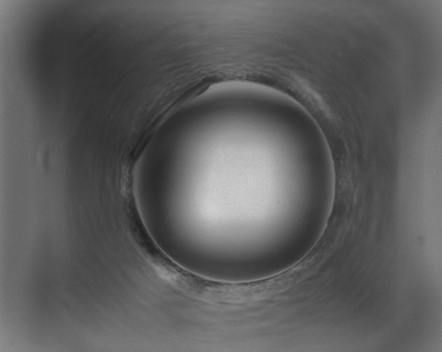 X0000075360025200609081227