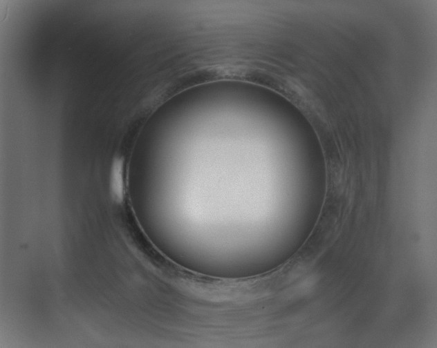 X0000075360028200609081227