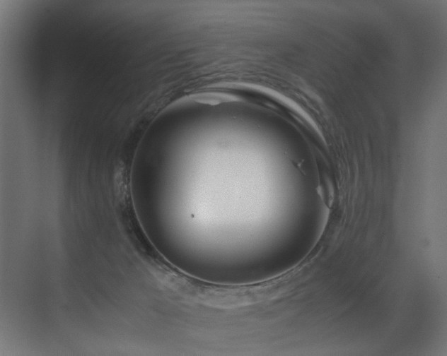 X0000075360029200609081227