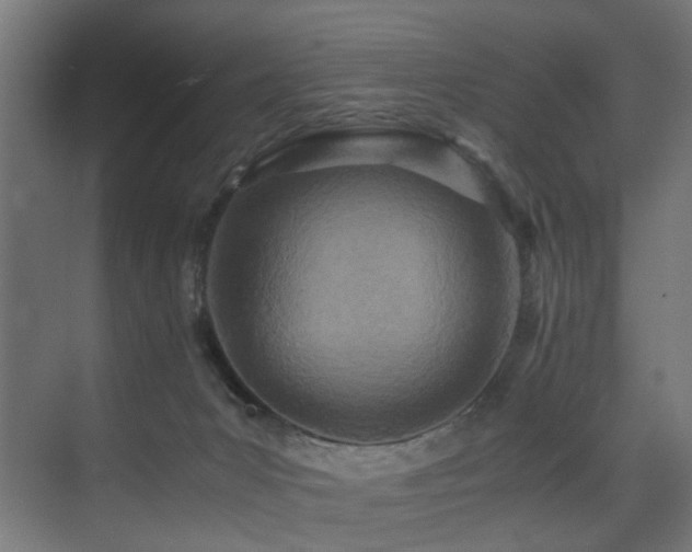 X0000075360031200609081227