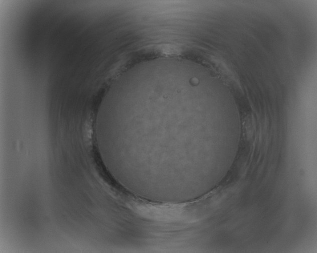 X0000075360032200609081227