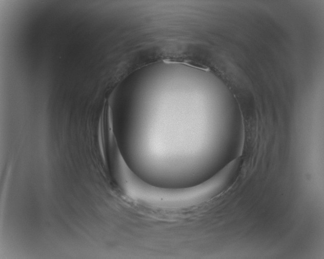 X0000075360033200609081227