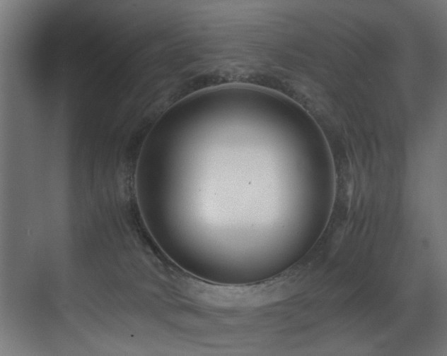 X0000075360034200609081227