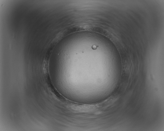 X0000075360036200609081227