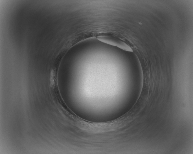 X0000075360038200609081227