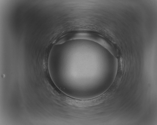 X0000075360039200609081227