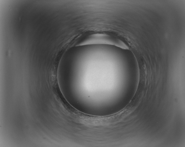 X0000075360040200609081227