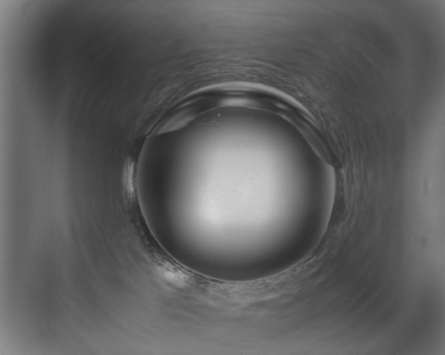 X0000075360041200609081227