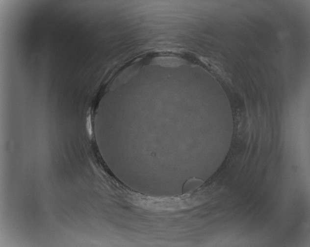 X0000075360042200609081227