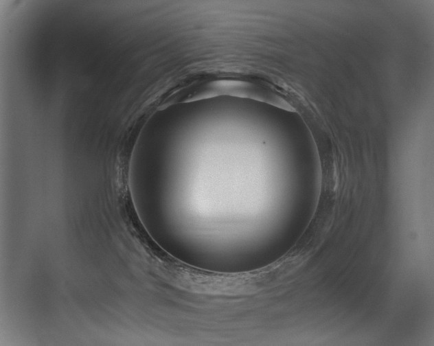 X0000075360044200609081227