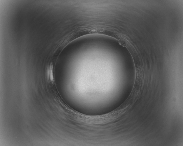 X0000075360046200609081227