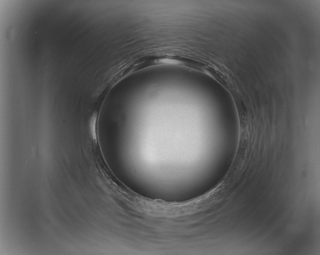 X0000075360047200609081227