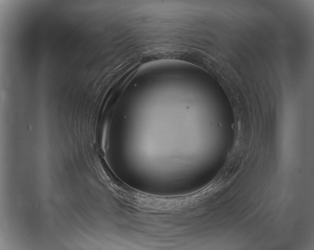 X0000075360048200609081227