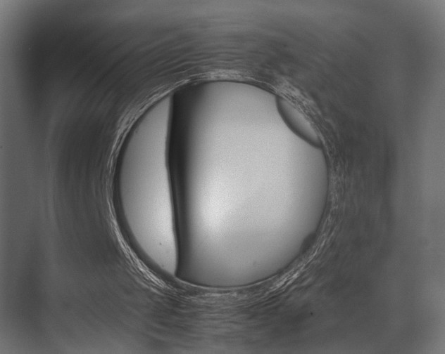 X0000075360049200609081226